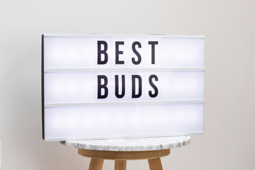 Cinematic letter box - best buds