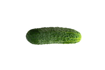 Isolated green fresh cucumber. whole cucumber isolated on white background