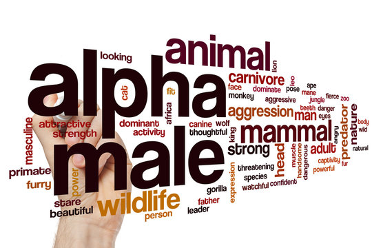 Alpha male word cloud