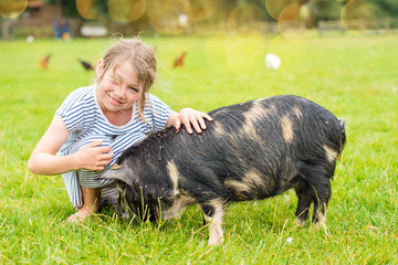 pretty little girl taking care of a dwarf pig
