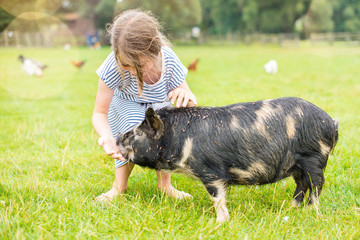 pretty little girl taking care of a dwarf pig - obrazy, fototapety, plakaty