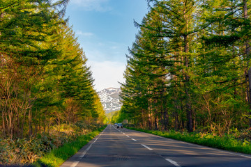 Seemingly endless asphalt road during sunset. row of trees along the country road in the countryside with mountains in the background
