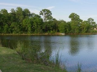 Refreshing view of a lake with a white floating dock in the distance