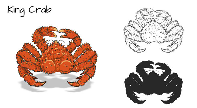Crab vector by hand drawing.crab silhouette on white background.King Crabs art highly detailed in line art style.Animal pictures for coloring