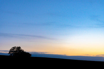 Farmland, Isolated Trees on hill with blue sky background in dusk. Silhouette view nature landscape.