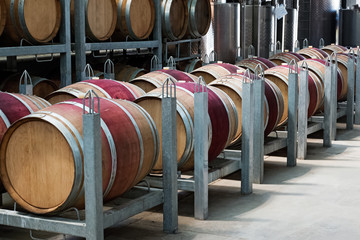 Row of barrels with red wine in a modern winery.