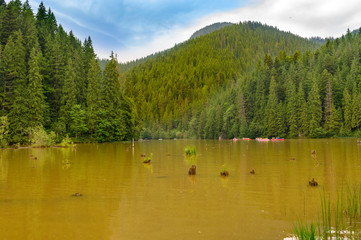 View of Rosu Lake, Romania