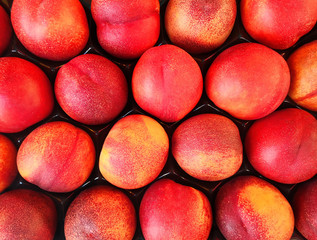 Fresh dellicious nectarines on farmers market.