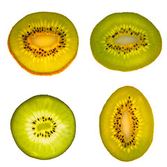 Four delicious fresh green and golden kiwifruit slices isolated at white background, closeup, details