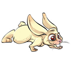 illustration of rabbit on white background