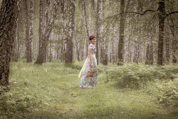 A young woman in a dress collects mushrooms, berries in a basket. Harvesting in a birch forest with ferns