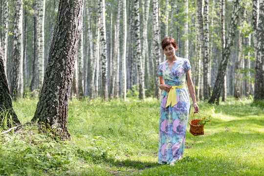 A young woman in a dress collects mushrooms, berries in a basket. Harvesting in a birch forest with ferns