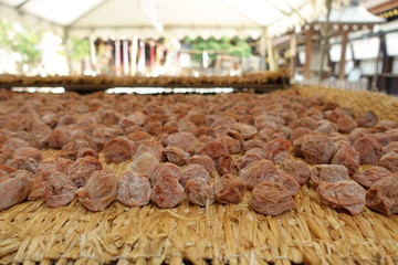 京都、北野天満宮で行われた土用干しの梅