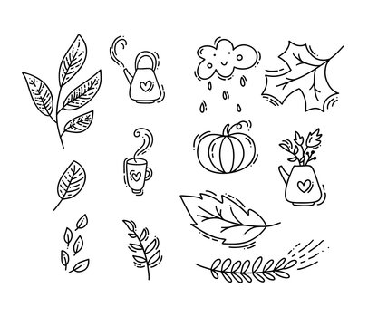 Set of vector monoline doodle floral elements. Autumn collection graphic design. Herbs, leaves, boots, teapot, cup and pumpkin. Hand drawn thanksgiving modern fall decor