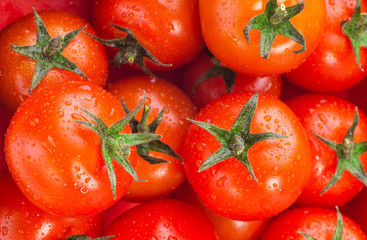 tomatoes on the basket