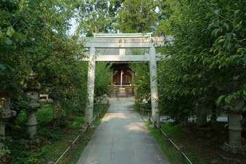 京都、北野天満宮の末社の一之保神社、奇御魂神社の鳥居と参道の風景