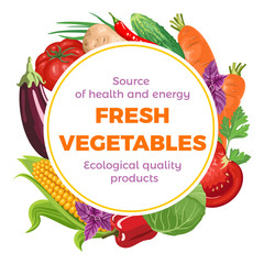 Round banner with various vegetables and herbs on white background. Vector illustration of fresh vegetables in flat style. Corn, tomato, cabbage, basil, cucumber, potatoes, eggplant, carrot, basil