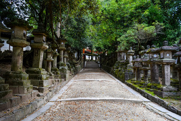 Obraz premium 春日大社 参道