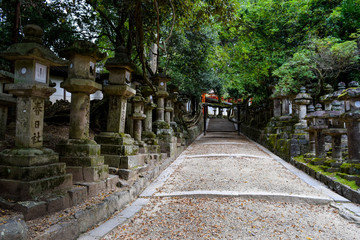 春日大社　参道
