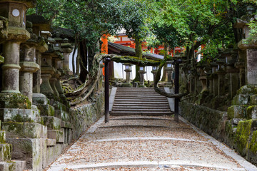 春日大社　参道