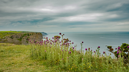 Fototapeta na wymiar A view from the Welsh Coastal path