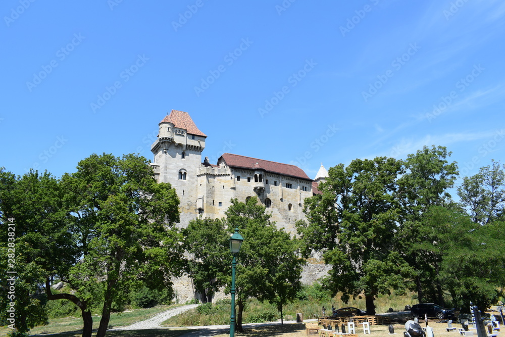 Wall mural castle among the trees