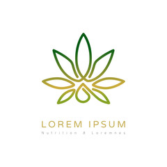 Fototapeta premium Elegant plant logo design. Vector image. 