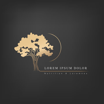 Amazing natural logo/sign design with a beauliful tree silhouette. Vector illustration design.