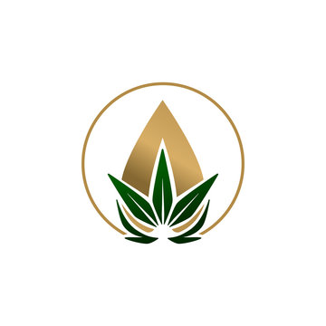 Creative plant logo design. Vector image.	