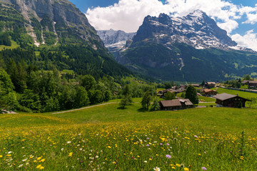 Fototapeta na wymiar House in the foreground of the Swiss Alp mountains