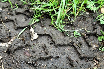 tyre tread in dirt