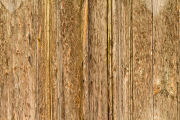 Obraz premium Unpainted dark wood texture