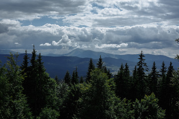 panorama of mountains in the foreground of the Christmas tree
