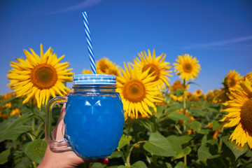 A glass of blue drink with straws among blooming yellow sunflowers. Field of sunflowers against the sky. Summer time