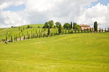 Obraz premium Krajobraz val d'Orcia okolice Sieny