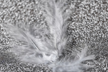 Gentle magical silver background with white feather. Macro photo.