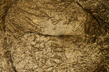 Brown tree bark texture