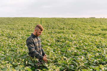 Portrait of young farmer standing in soybean field.