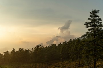 夕方の森と雲が架かった山／View from Hinatakiba Observatory in Nagano, Japan
