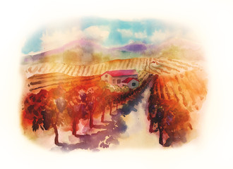 Vineyards Hand-painted watercolor landscape with vineyards, mountains and a house, isolated on a white background
