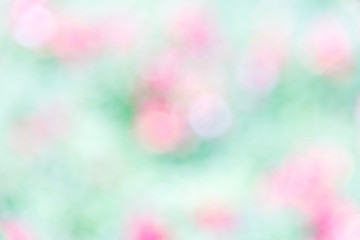 Abstract background of the pink flower.