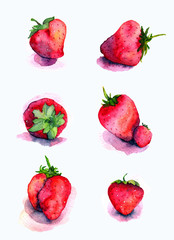 Hand drawn watercolor set with natural strawberries isolated on white background