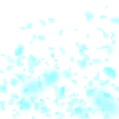 Fototapeta na wymiar Turquoise flower petals falling down. Energetic ro