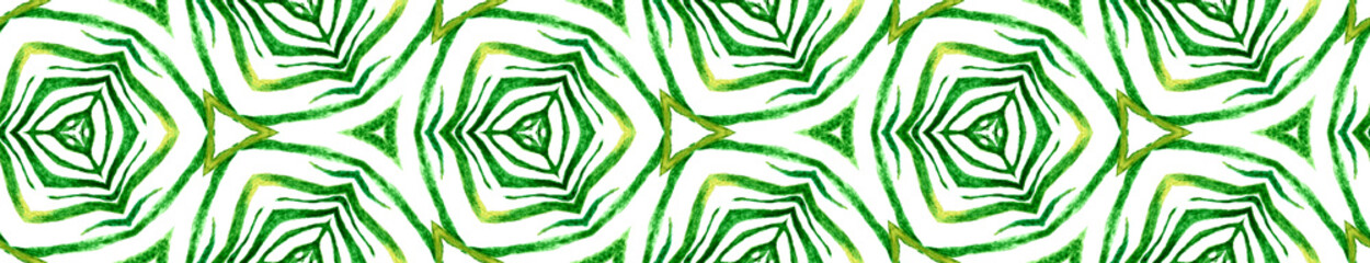 Fototapeta na wymiar Green tropical Seamless Border Scroll. Geometric W