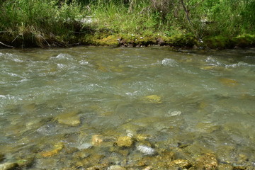 The river in Arrowtown, New Zealand