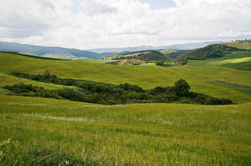 Fototapeta na wymiar Krajobraz Val d'Orcia Toskania