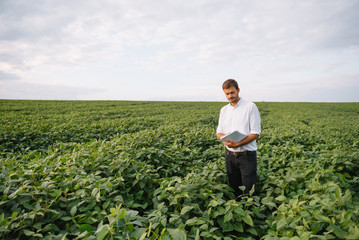 Naklejka na ściany i meble Portrait of young farmer standing in soybean field.