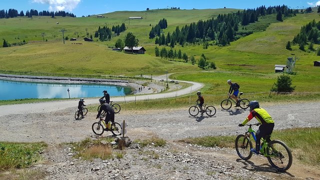 cyclists on the road