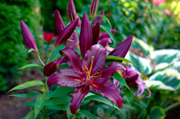  wonderful world around us