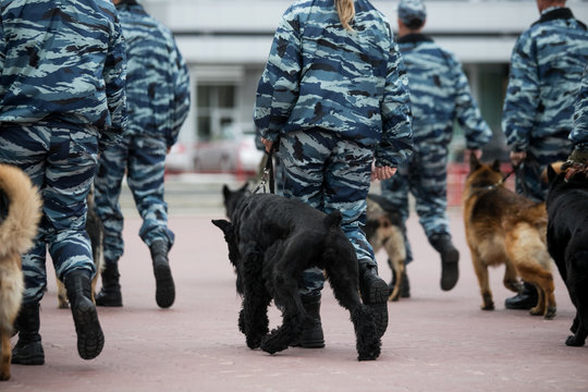 Guard dog in equipment with the inscription Police. The Russian Police